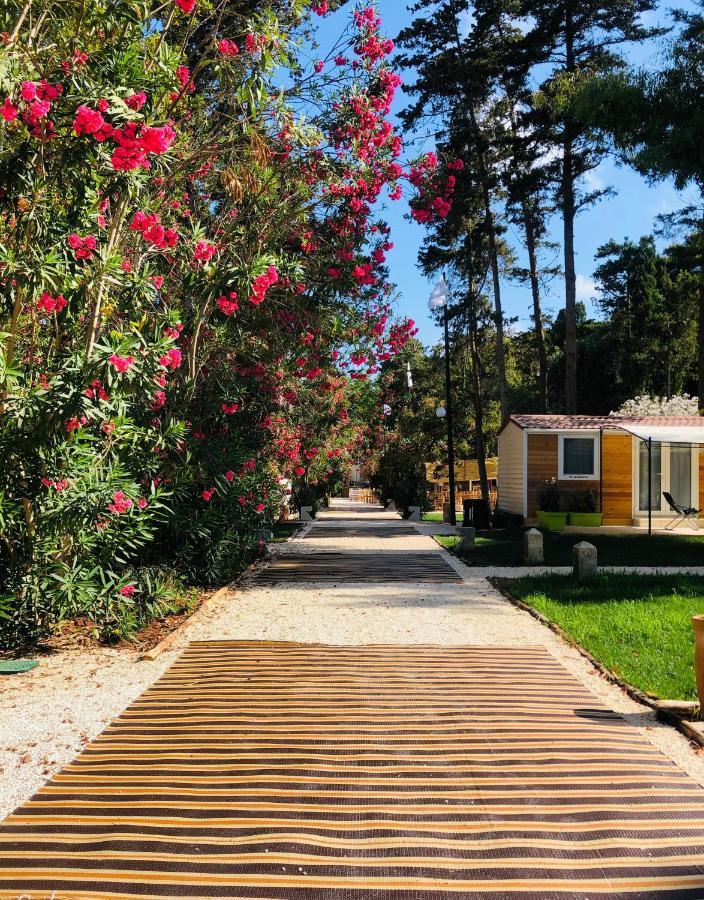Baia Dei Micenei Ξενοδοχείο Οτράντο Εξωτερικό φωτογραφία